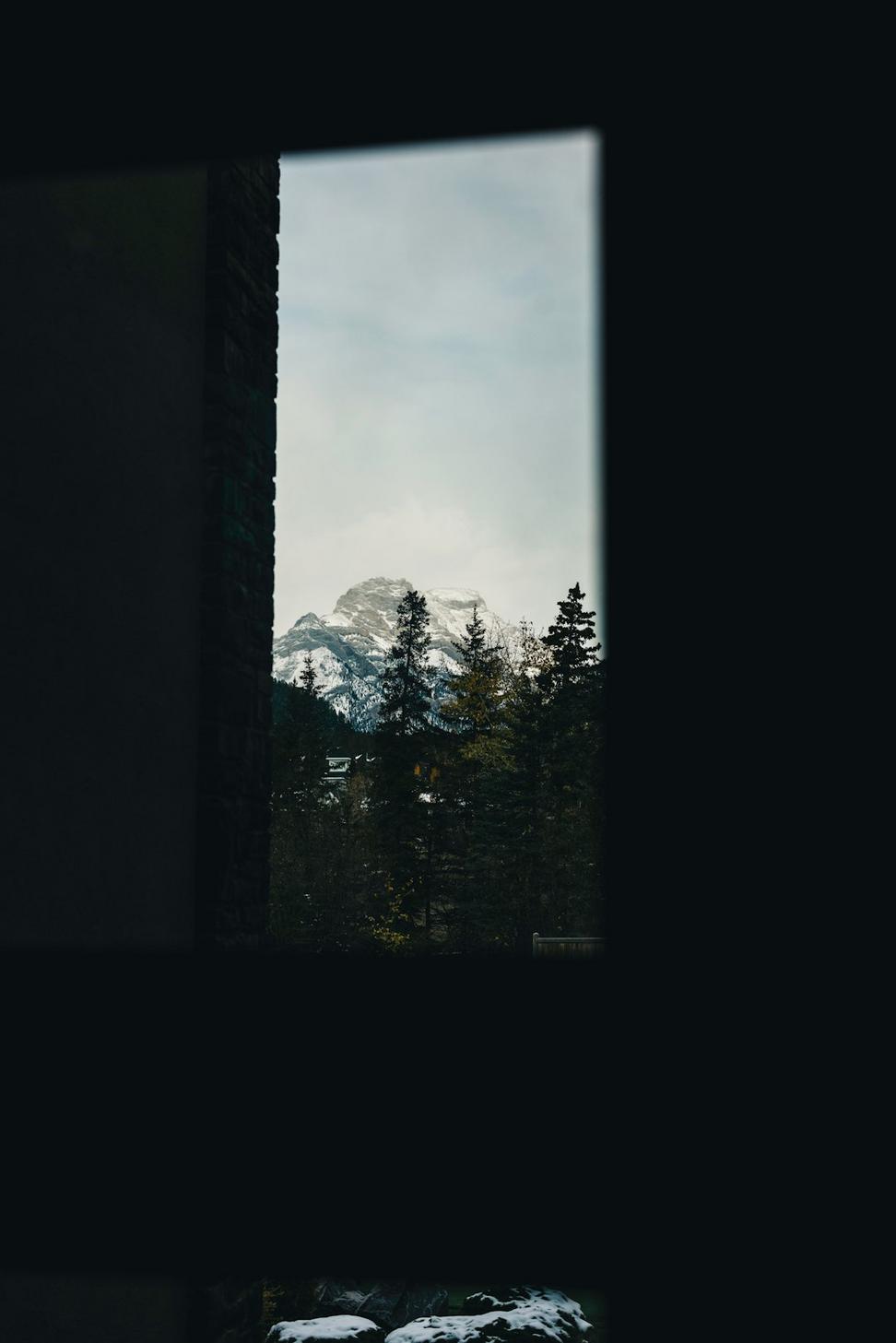 Forest View Room